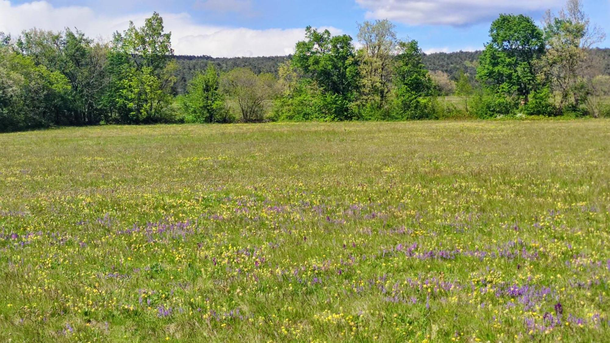Apartma Jezevi Sežana Esterno foto