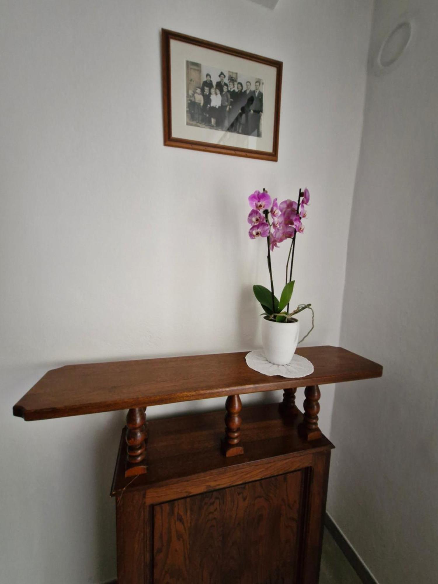 Apartma Jezevi Sežana Esterno foto