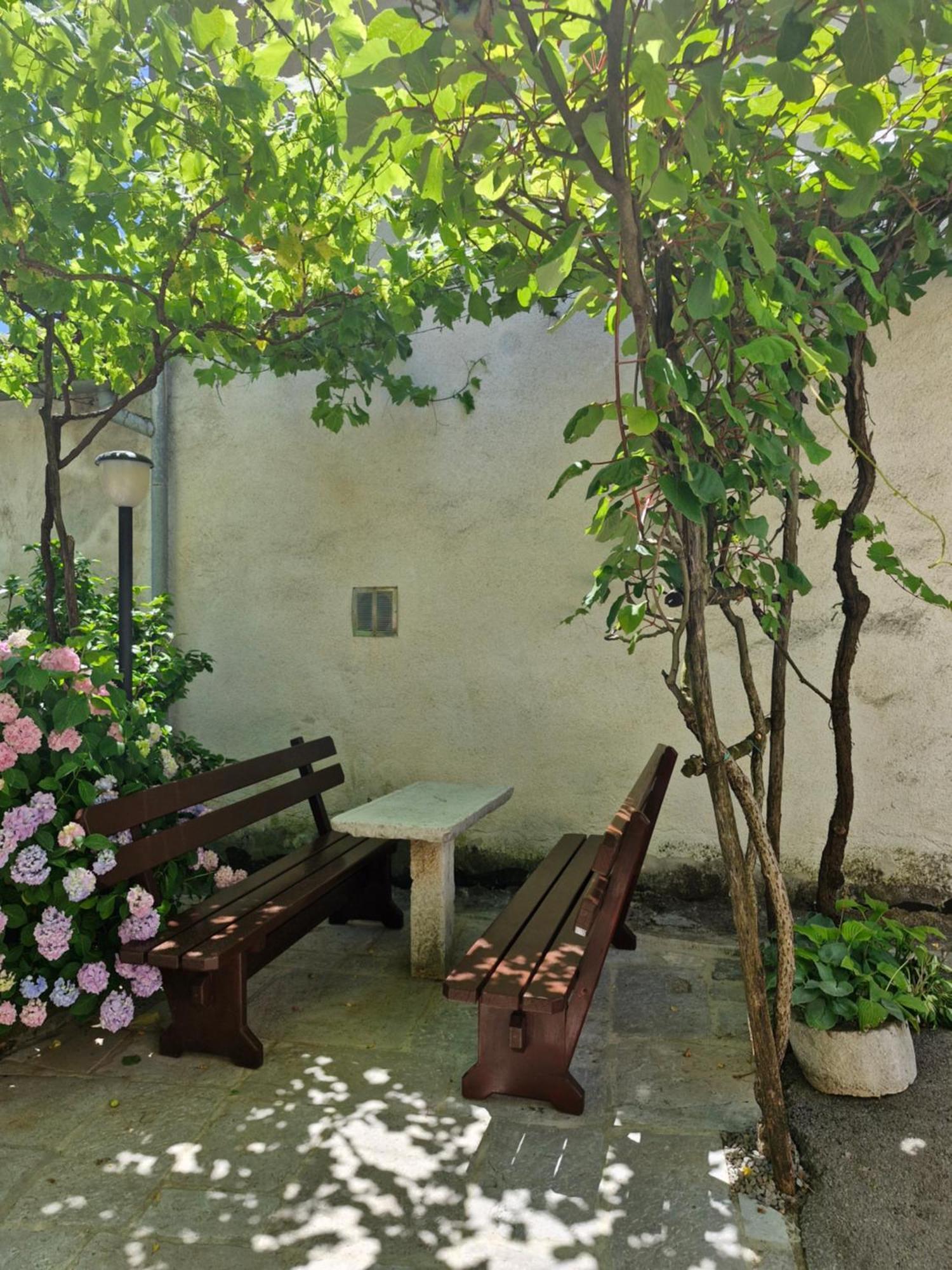 Apartma Jezevi Sežana Esterno foto